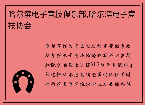 哈尔滨电子竞技俱乐部,哈尔滨电子竞技协会